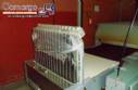 Fabricante de horno industrial rotativo elctrico Fornimaq