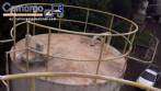Tanque silo con camisa de refrigeraci�n para almacenamiento de glucosa, 20.000 litros.