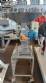 Procesador triturador AGMAC 100 kg/h