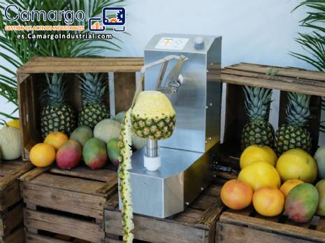 Peladora autom�tica para pi�a, mango y mel�n, 250 unidades por minuto Astra