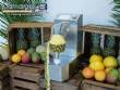 Peladora autom�tica para pi�a, mango y mel�n, 250 unidades por minuto Astra