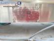 Llenadora de sobremesa de acero inoxidable para lquidos y productos viscosos