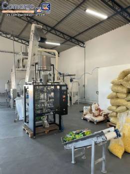 L�nea para la producci�n de snacks Inbramaq 230 kg