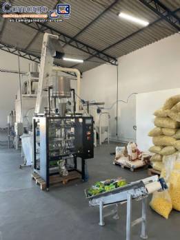 Lnea para la produccin de snacks Inbramaq 230 kg