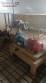 L�nea de chips para 250 kg